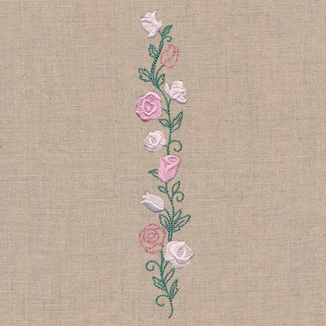 Delicate Rose Border