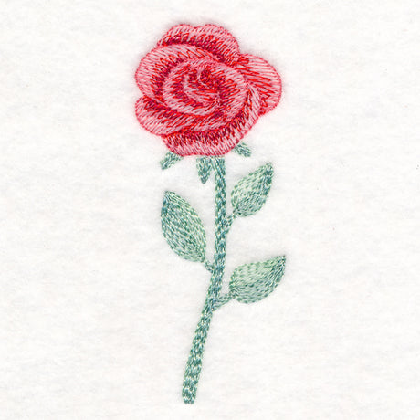 Radiant Rose in Watercolor