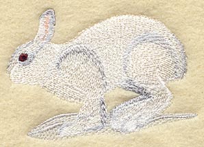 Arctic Hare