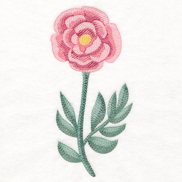 Perfect Peony in Watercolor