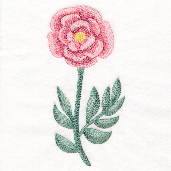 Perfect Peony in Watercolor