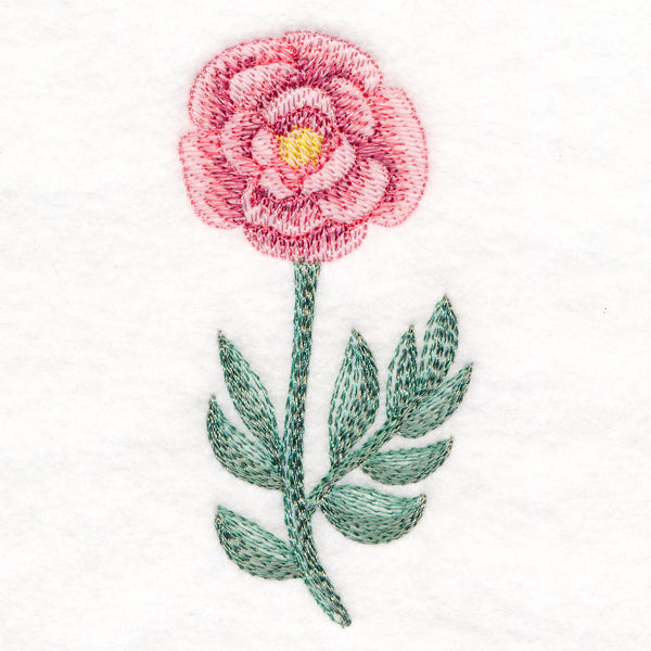 Perfect Peony in Watercolor