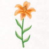 Lively Lily in Watercolor