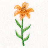 Lively Lily in Watercolor