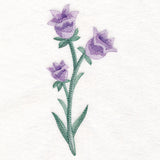Beautiful Bellflower in Watercolor