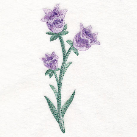 Beautiful Bellflower in Watercolor