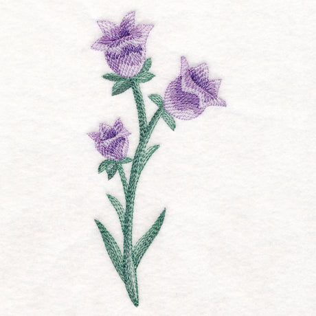 Beautiful Bellflower in Watercolor