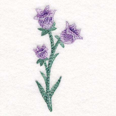 Beautiful Bellflower in Watercolor