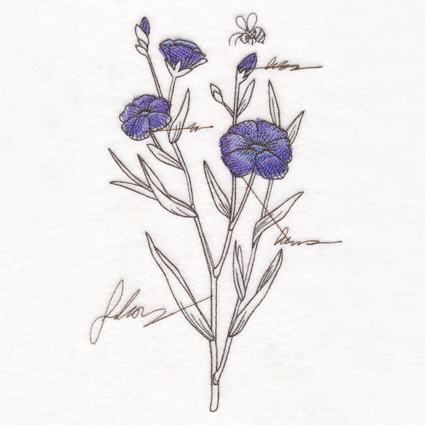 Alpine Flax Botanicals