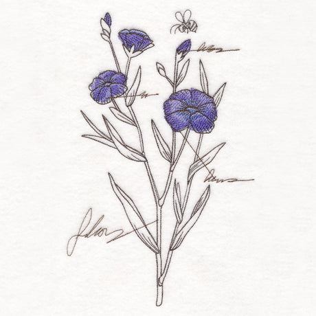 Alpine Flax Botanicals