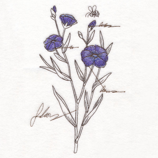Alpine Flax Botanicals