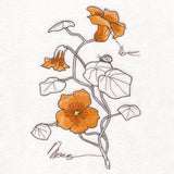 Nasturtium Botanicals