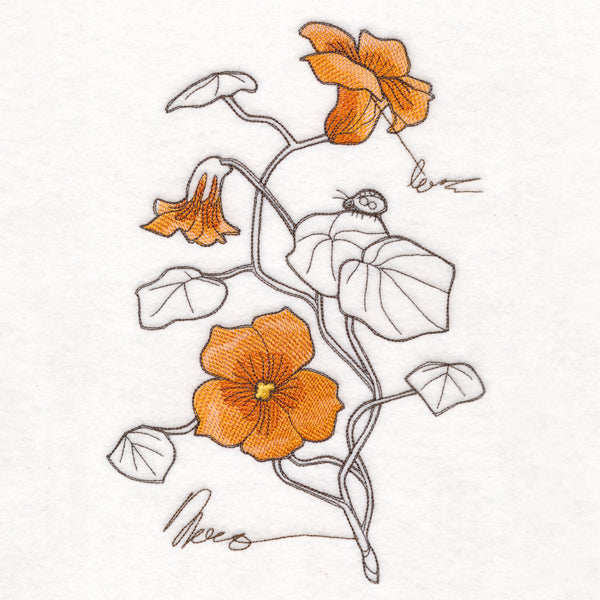 Nasturtium Botanicals