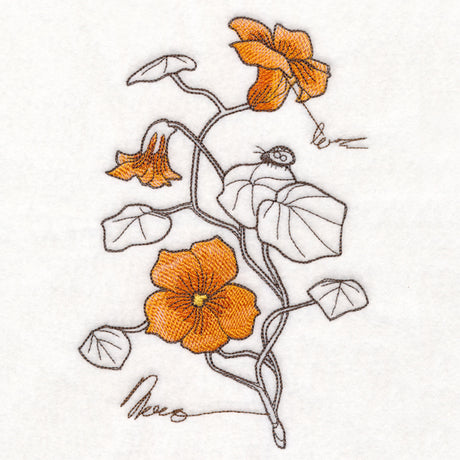 Nasturtium Botanicals