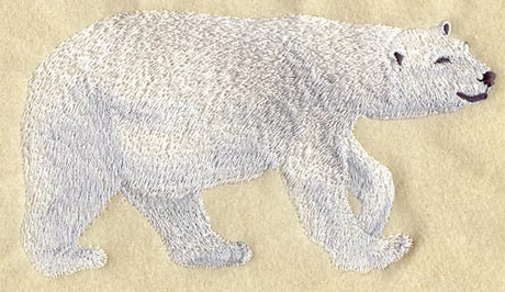 Polar Bear - Walking