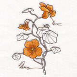 Nasturtium Botanicals
