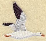 Snow Goose