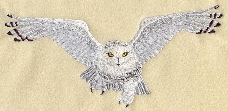Snowy Owl - Flying