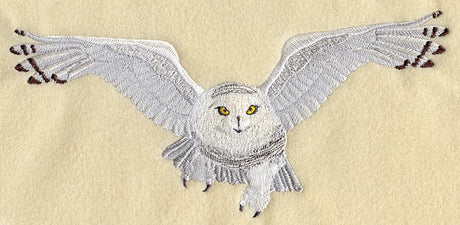 Snowy Owl - Flying