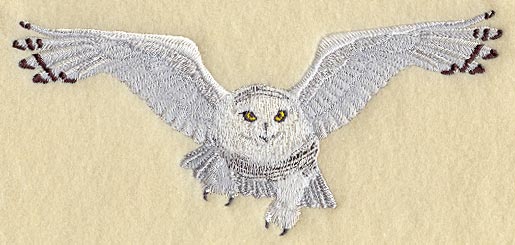 Snowy Owl - Flying