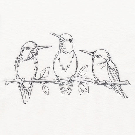 Hummingbird Social