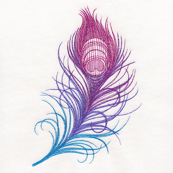 Ombre Peacock Feather
