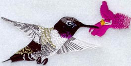 Male Black-Chinned Hummingbird W/Flower