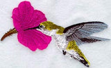 Female Ruby Throated Hummingbird W/Flower