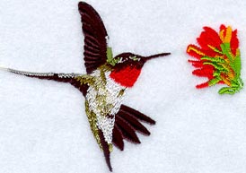 Male Ruby Throated Hummingbird W/Flower