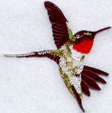 Male Ruby Throated Hummingbird