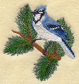 Blue Jay