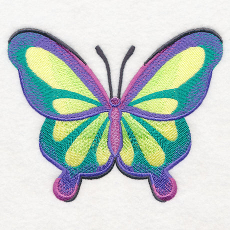 Rainbow Butterfly