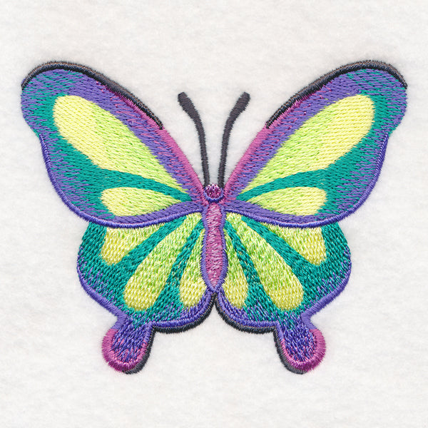 Rainbow Butterfly