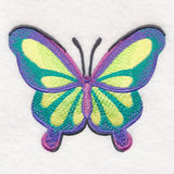 Rainbow Butterfly