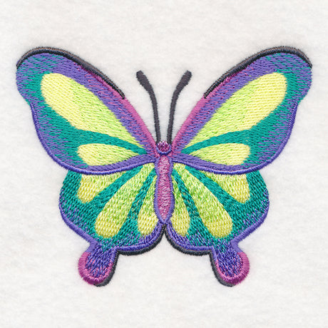 Rainbow Butterfly