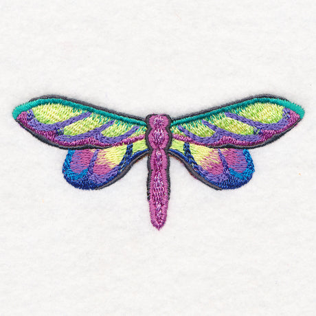 Rainbow Dragonfly