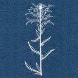 Indian Paintbrush (Whitework)