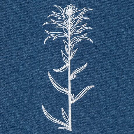 Indian Paintbrush (Whitework)