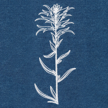 Indian Paintbrush (Whitework)