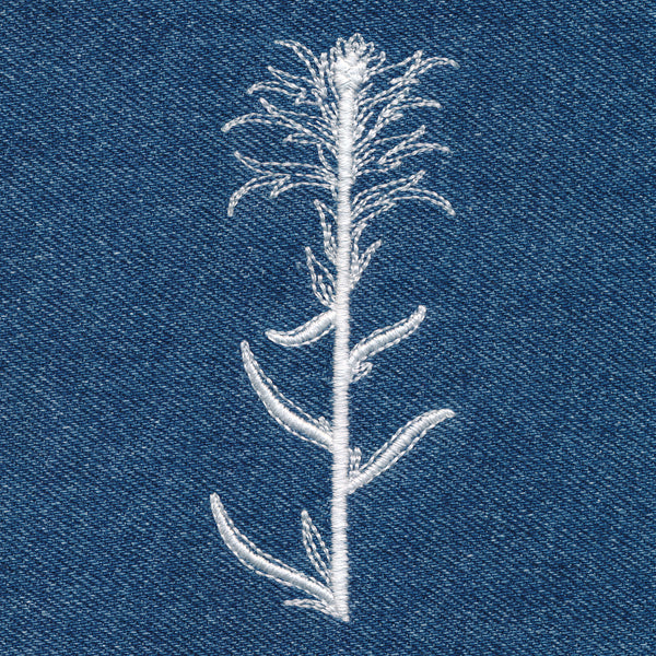 Indian Paintbrush (Whitework)