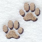 Mountain Lion Tracks