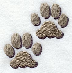 Jaguar Tracks