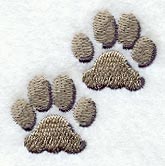 Jaguar Tracks