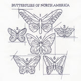 Butterflies of North America Schematic