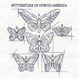 Butterflies of North America Schematic
