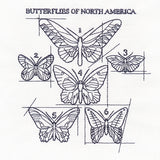 Butterflies of North America Schematic