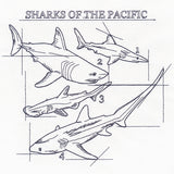 Sharks of the Pacific Schematic