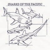 Sharks of the Pacific Schematic