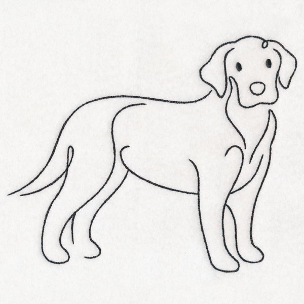 Top of the Line - Labrador