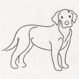 Top of the Line - Labrador